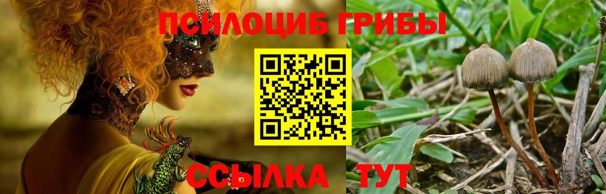 Конопля  Котельники  Меф кристаллы  Экстази  Гашиш  Вход с VPN 